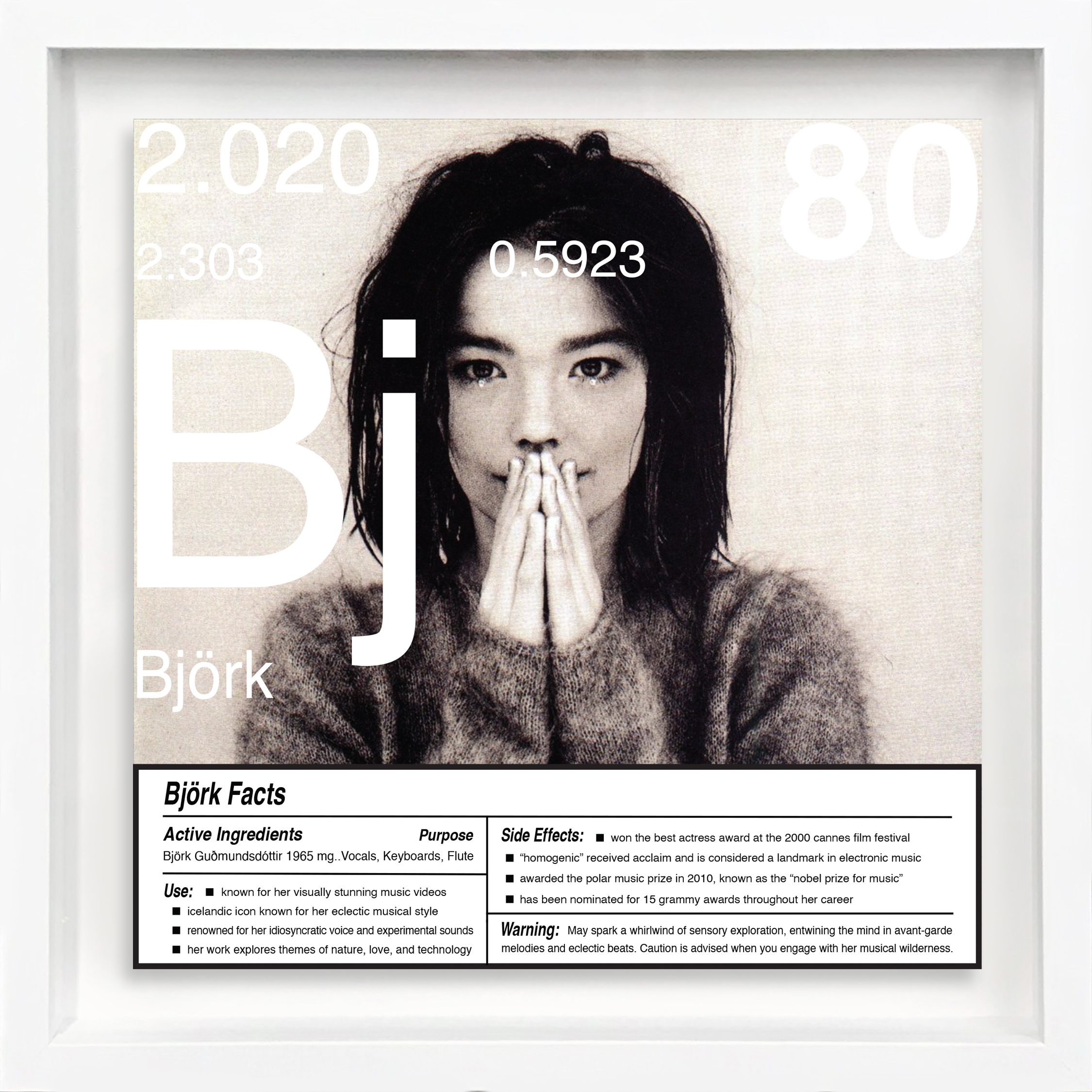 Björk artwork